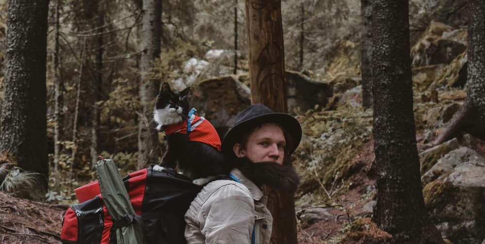 A Man Hiking a Mountain Forest with a Cat
                  