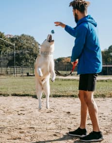 Active man with jumping dog on street
                        